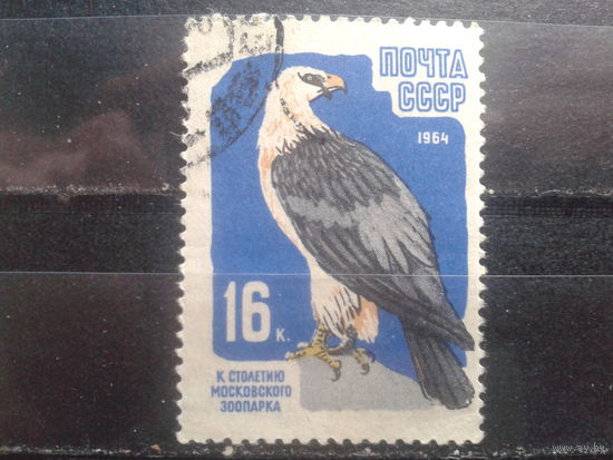 1964 Беркут, концевая