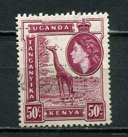 Британские колонии - Кения, Уганда, Танганьика - 1954/1959 - Елизавета II и жираф 50С - [Mi.98] - 1 марка. Гашеная.  (Лот 23HV)-TG3P21