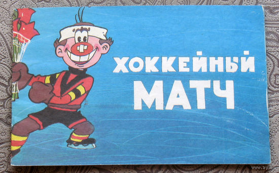 Хоккейный матч. Книжка по одноименному мультфильму.