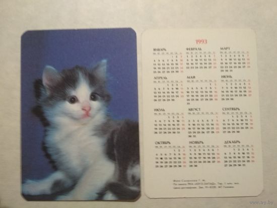 Карманный календарик. Котик. 1993 год