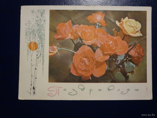 Поздравляю!  Розы.  1969 г.  подписанная.