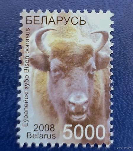 Беларусь 2008 3убр