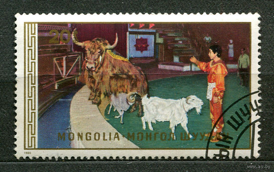 Цирк. Дрессированные животные. Монголия. 1986