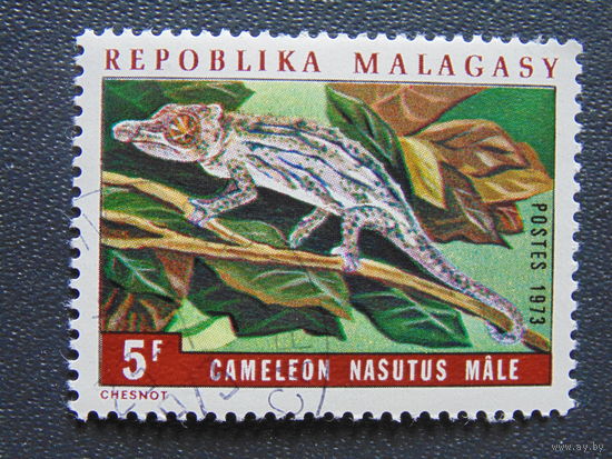 Мадагаскар 1973 г. Фауна.