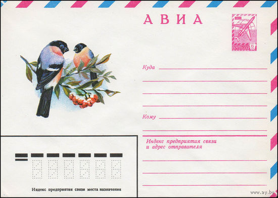 Художественный маркированный конверт СССР N 13585 (14.06.1979) АВИА  [Снегири]