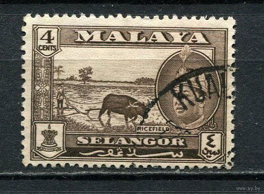 Малайские штаты - Селангор - 1961/1962 - Султан Салахуддин Абдул Азиз Шах и рисовое поле 4С - [Mi.92] - 1 марка. Гашеная.  (Лот 44Hi)-T41P16