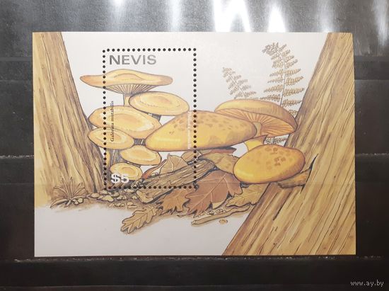 Невис. Флора. Грибы. Блок (997)