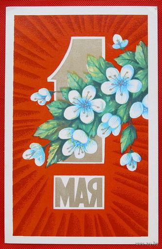 1 Мая. Чистая. 1974 года. Удлер.