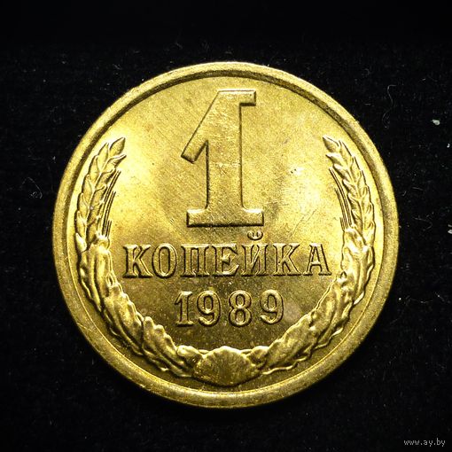 1 КОПЕЙКА 1989 ЯРКИЙ ШТЕМПЕЛЬНЫЙ ЛЮКС ( БЕЗ МЦ ) КОРОТКИЙ АУК