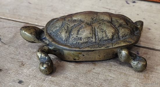 Черепашка бронзовая