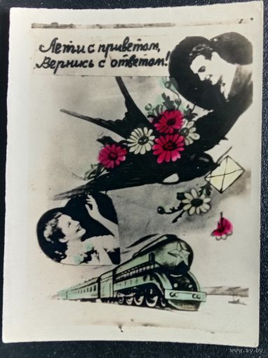 Фотооткрытка. 1950-ые. Чистая