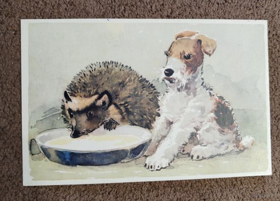 Открытка "Обиделся". 1970г.