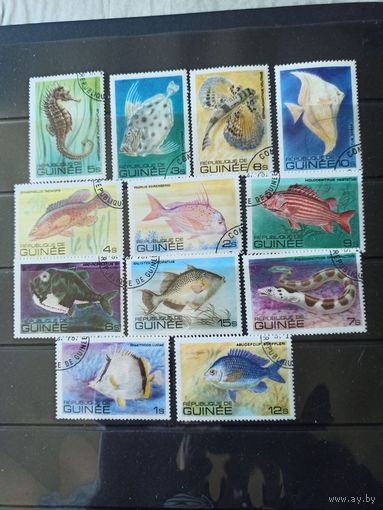 Гвинея. 1980. Рыбы.