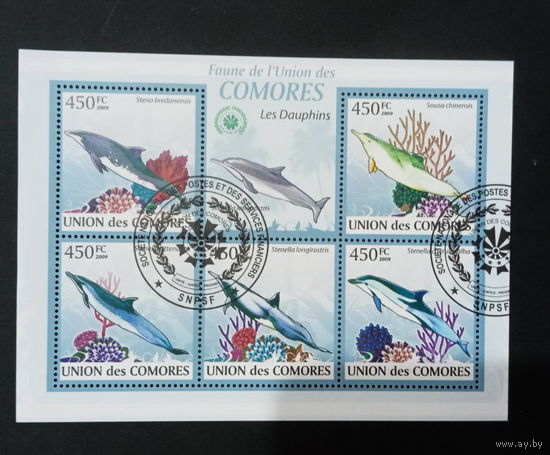 ФАУНА РЫБЫ МОРСКИЕ ОБИТАТЕЛИ    БЛОК  сто