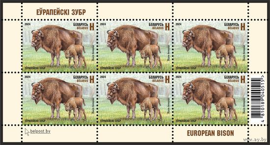 2024г Беларусь MNH Малый лист "Европейский зубр"