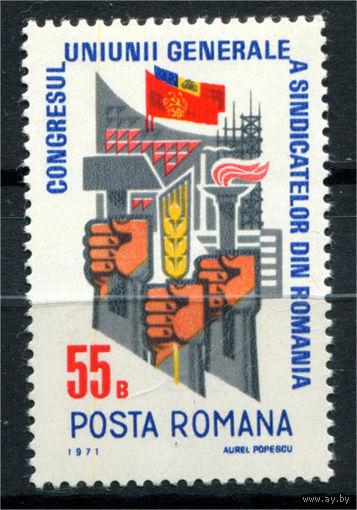 Румыния - 1971г. - Конгресс профсоюзов - полная серия, MNH [Mi 2917] - 1 марка