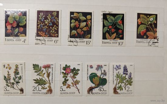 РАСПРОДАЖА КОЛЛЕКЦИИ. СССР, марки "флора"