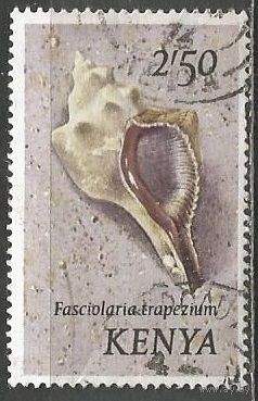 Кения. Брюхоногий молюск. 1971г. Mi#47.