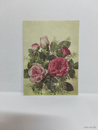 Двойная почтовая открытка для телеграмм, б/у. 1991г. Серия В-25. Фото И. Дергилева. 14