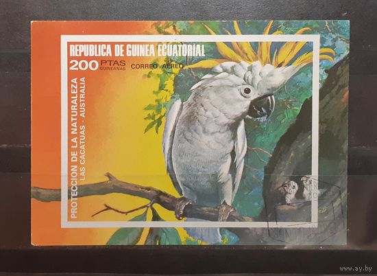 Экваториальная Гвинея. Фауна. Птицы. попугай. Блок беззубцовка (440)