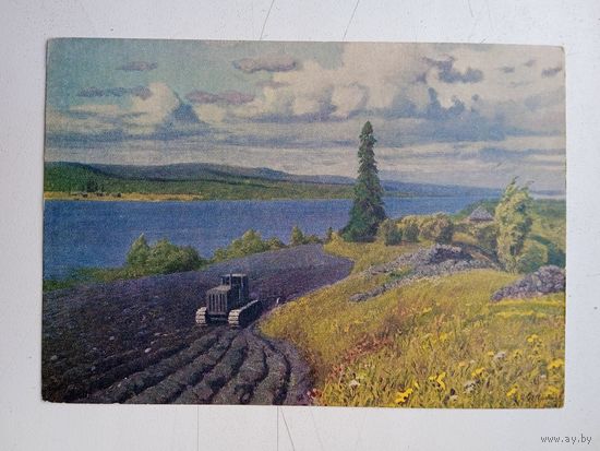 1954. Светличная. Карелия