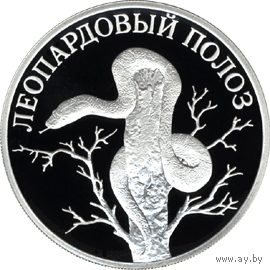 Красная книга: Леопардовый полоз
