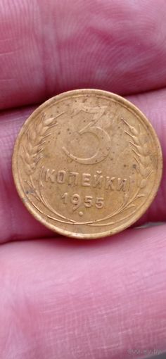 МОНЕТА 3 КОПЕЙКИ 1955 ГОД .    ОРИГИНАЛ  .  Распродажа Коллекции !!! . Экспресс  Аукцион не с рубля без МПЦ и прочего  .Много лотов в продаже .