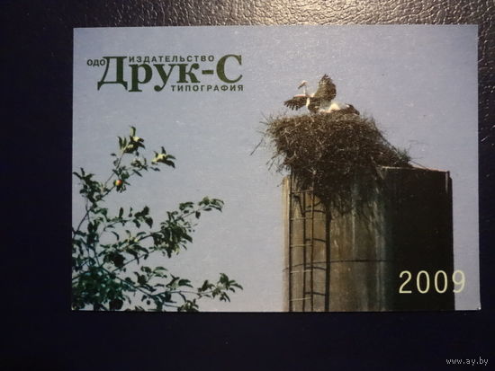 Календарик 2009 г. ОДО Друк-С. Аисты.