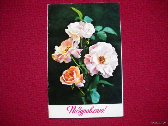 Поздравляю! Костенко. 1976 г. Двойная. Чистая.