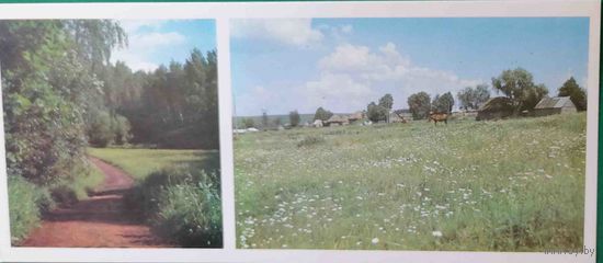 Ясная Поляна Лесная дорога косую поляну Вид на деревню Грумант