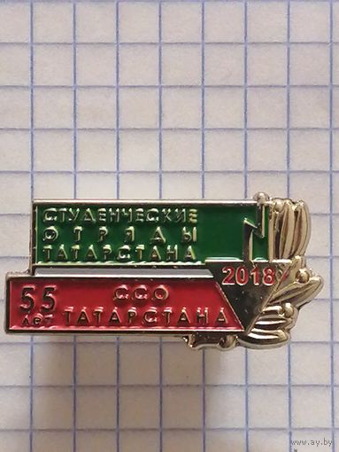 Студенческие Отряды Татарстана. 55 лет. 2018г.