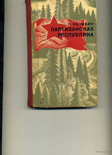 Книга Партизанская республика Калинин П.