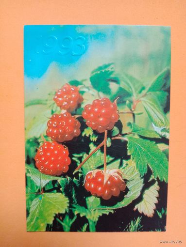 Календарик 1993