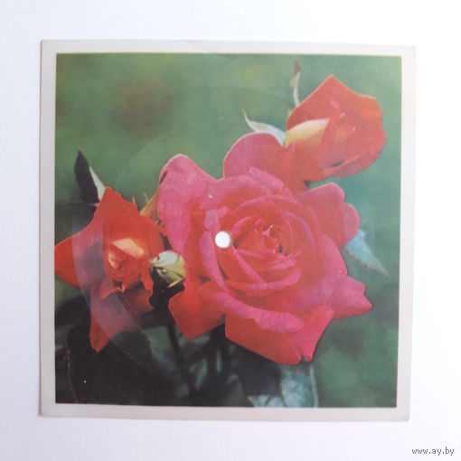 Гибкая пластинка с песней "Горько" Исп. ВИА "Синяя птица". Студия звукозаписи Киев.