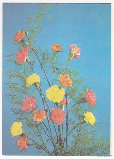 Открытка 1988 (155)
