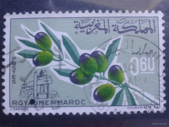Марокко, 1966, оливковая ветвь