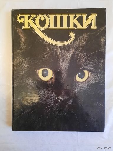 Книга Кошки