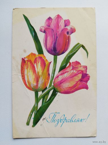 Поздравляю! Художник В. Губанов. 1977 год
