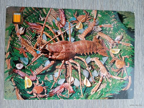 Этнография. Испания. Национальное блюдо "Язва амброзии"