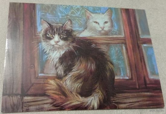 Посткроссинг. Открытка Котики,  (10х15). Прошла почту. Художественные марки, чёткий штемпель.