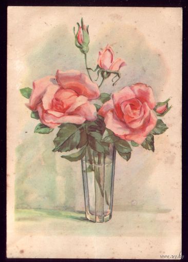 1960 год А.Рубен Розы