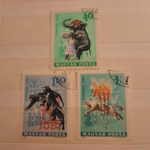 Венгрия 1965. Цирковые животные