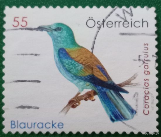 Австрия 2010. Птицы. Сизоворонка