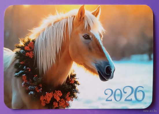 Лошадь. Календарик, глянец, 2026. Траско