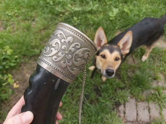 Большой рог.