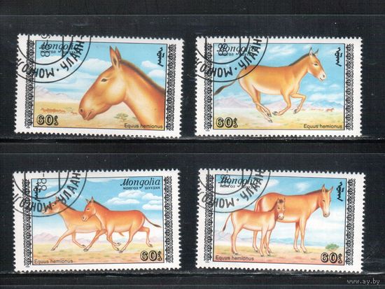 Монголия-1988 (Мих.1995-1998) гаш. , Фауна (полная серия)