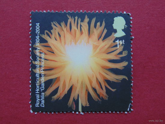 Англия 2004г.