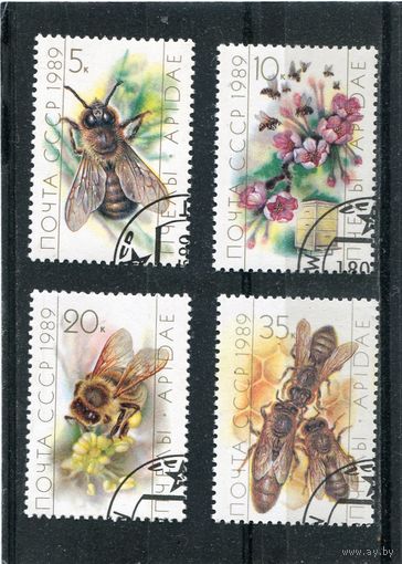 СССР 1989.. Пчеловодство