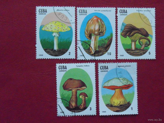 Куба 1988г. Грибы.