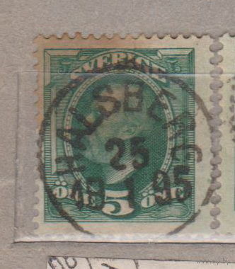Известные  Люди Личности Король Оскар II  Швеция 1891 год лот 5 ШТАМП Город Хайльсберг 1895